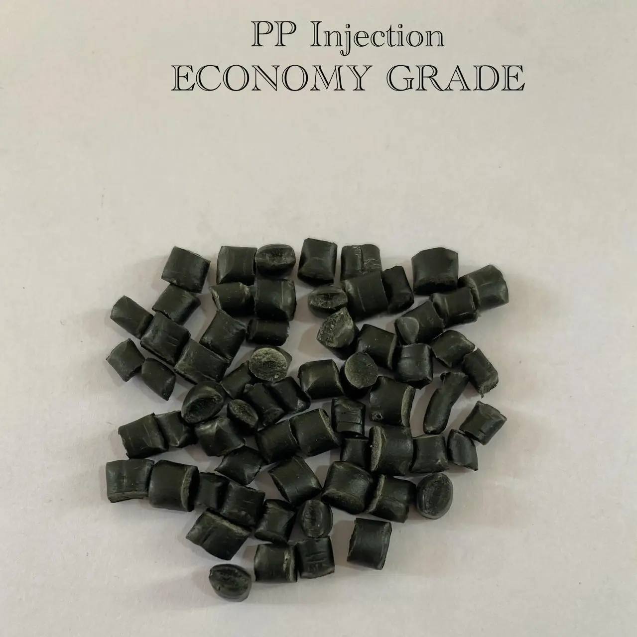 pp economy.webp