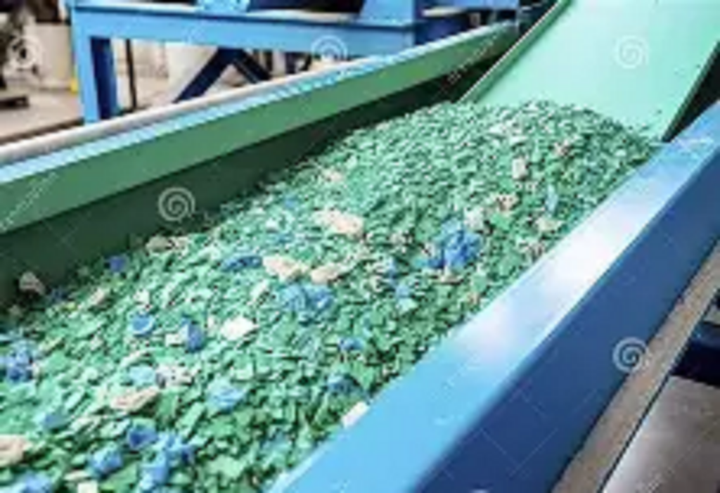plant2